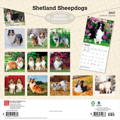 2027 BrownTrout Shetland Sheepdogs 12 x 12 Monthly Wall Calendar (9798330712663)