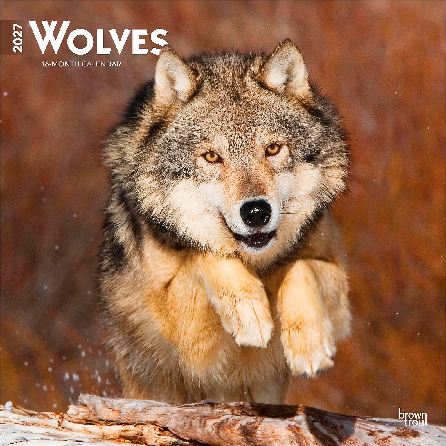 2027 BrownTrout Wolves 12 x 12 Monthly Wall Calendar (9798330712151)