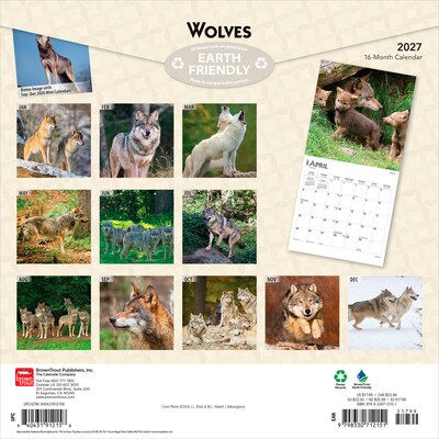 2027 BrownTrout Wolves 12 x 12 Monthly Wall Calendar (9798330712151)