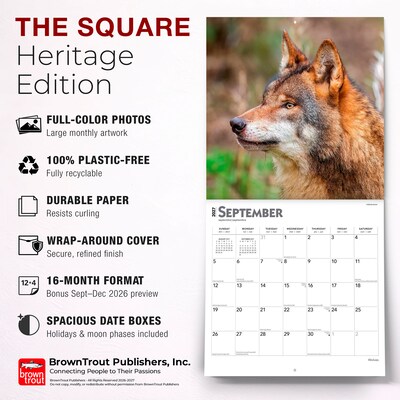 2027 BrownTrout Wolves 12" x 12" Monthly Wall Calendar (9798330712151)
