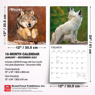 2027 BrownTrout Wolves 12" x 12" Monthly Wall Calendar (9798330712151)