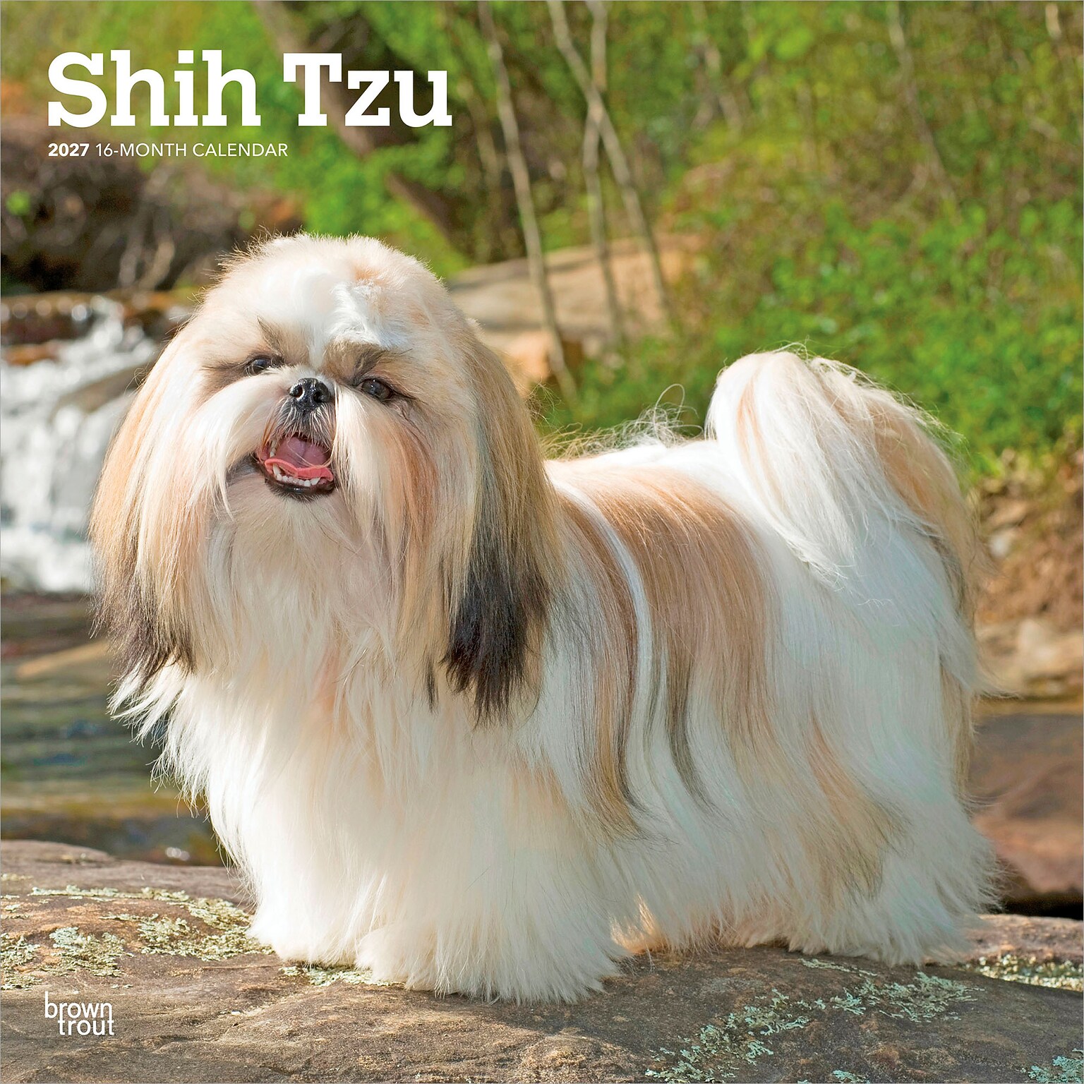 2027 BrownTrout Shih Tzu 12 x 12 Monthly Wall Calendar (9798330712670)