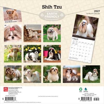 2027 BrownTrout Shih Tzu 12 x 12 Monthly Wall Calendar (9798330712670)