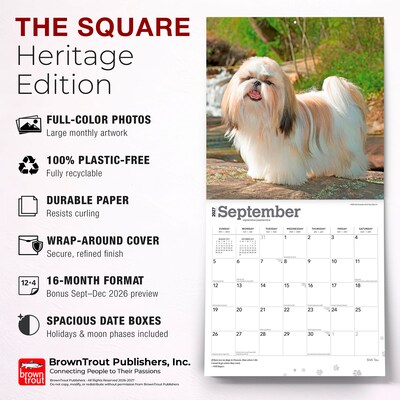 2027 BrownTrout Shih Tzu 12" x 12" Monthly Wall Calendar (9798330712670)