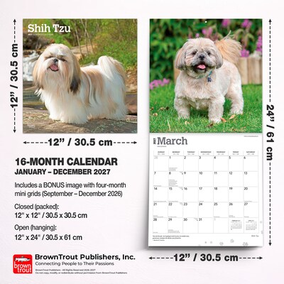2027 BrownTrout Shih Tzu 12" x 12" Monthly Wall Calendar (9798330712670)