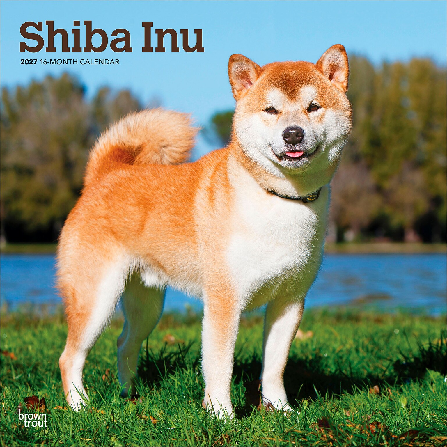 2027 BrownTrout Shiba Inu 12 x 12 Monthly Wall Calendar (9798330714506)