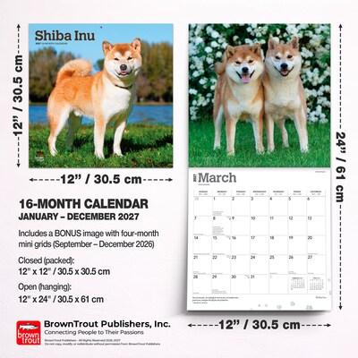 2027 BrownTrout Shiba Inu 12" x 12" Monthly Wall Calendar (9798330714506)