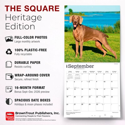 2027 BrownTrout Weimaraners 12" x 12" Monthly Wall Calendar (9798330714605)