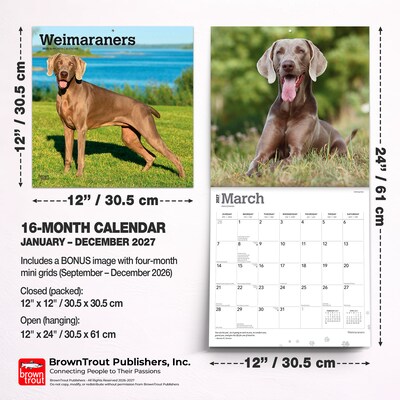 2027 BrownTrout Weimaraners 12" x 12" Monthly Wall Calendar (9798330714605)
