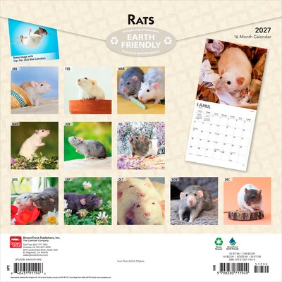 2027 BrownTrout Rats 12 x 12 Monthly Wall Calendar (9798330711949)