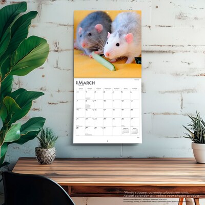 2027 BrownTrout Rats 12" x 12" Monthly Wall Calendar (9798330711949)