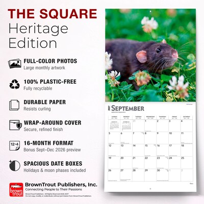 2027 BrownTrout Rats 12" x 12" Monthly Wall Calendar (9798330711949)