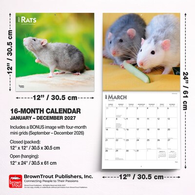 2027 BrownTrout Rats 12" x 12" Monthly Wall Calendar (9798330711949)