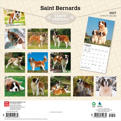 2027 BrownTrout Saint Bernards 12 x 12 Monthly Wall Calendar (9798330712632)