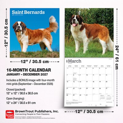 2027 BrownTrout Saint Bernards 12" x 12" Monthly Wall Calendar (9798330712632)