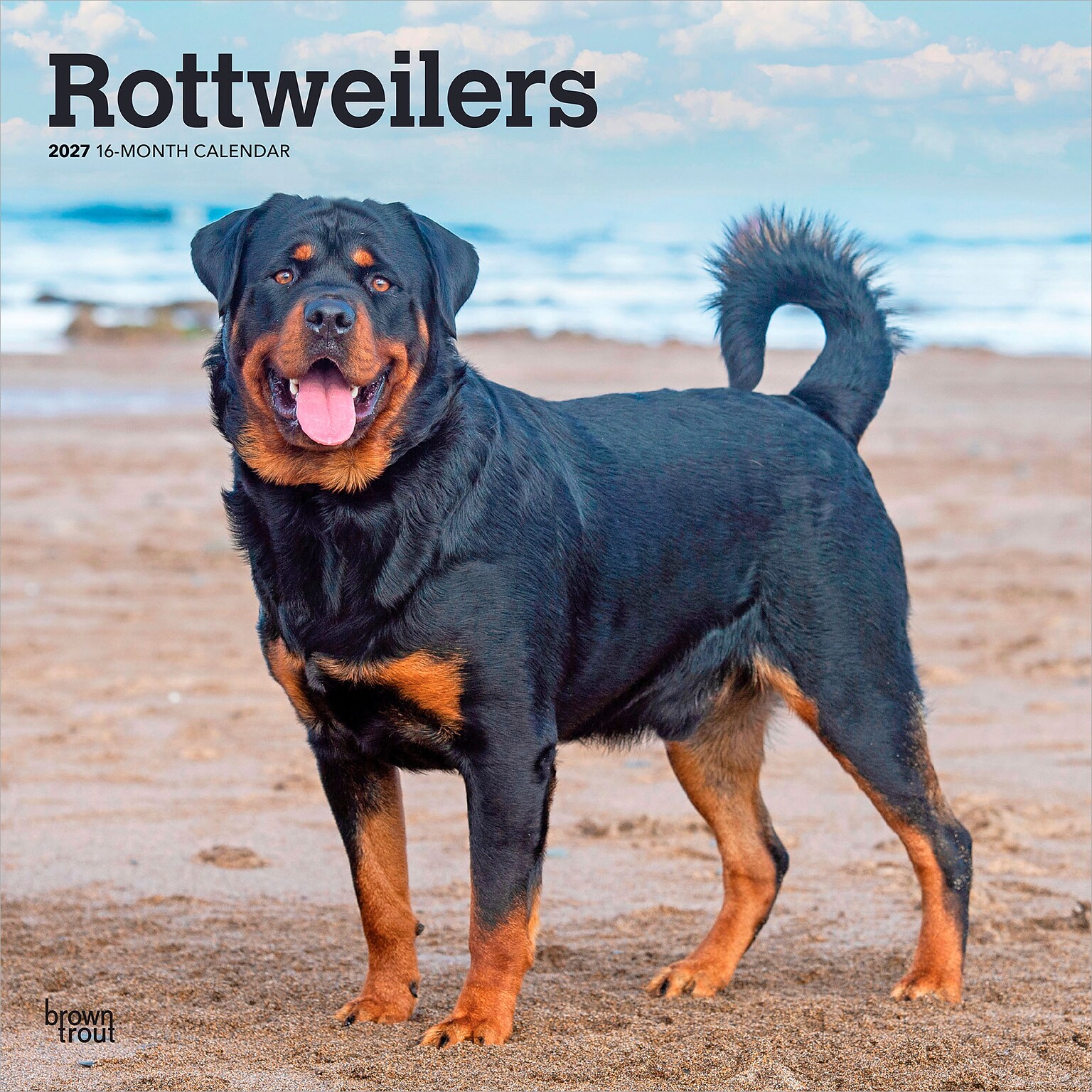 2027 BrownTrout Rottweilers 12 x 12 Monthly Wall Calendar (9798330712625)