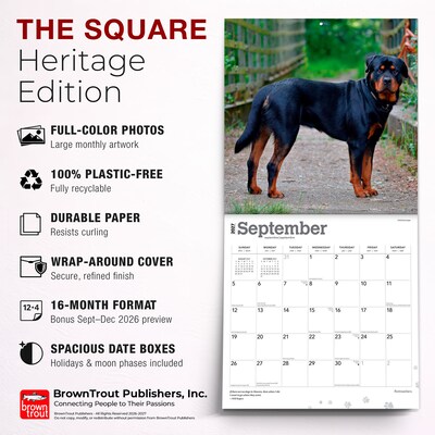 2027 BrownTrout Rottweilers 12" x 12" Monthly Wall Calendar (9798330712625)