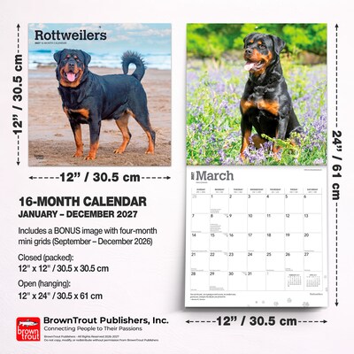 2027 BrownTrout Rottweilers 12" x 12" Monthly Wall Calendar (9798330712625)