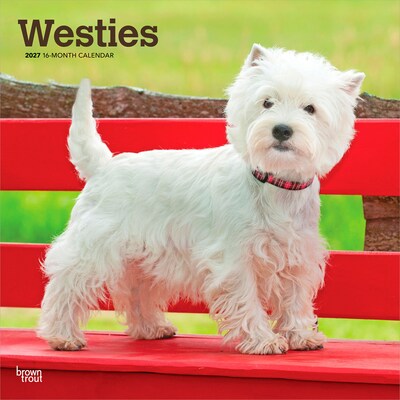 2027 BrownTrout West Highland White Terriers 12 x 12 Monthly Wall Calendar (9798330712724)