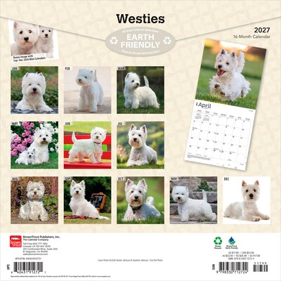 2027 BrownTrout West Highland White Terriers 12 x 12 Monthly Wall Calendar (9798330712724)