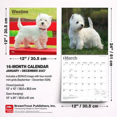 2027 BrownTrout West Highland White Terriers 12" x 12" Monthly Wall Calendar (9798330712724)