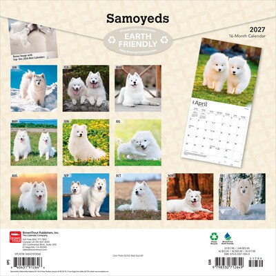 2027 BrownTrout Samoyeds 12 x 12 Monthly Wall Calendar (9798330712649)