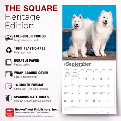 2027 BrownTrout Samoyeds 12" x 12" Monthly Wall Calendar (9798330712649)