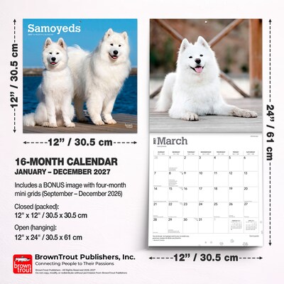 2027 BrownTrout Samoyeds 12" x 12" Monthly Wall Calendar (9798330712649)