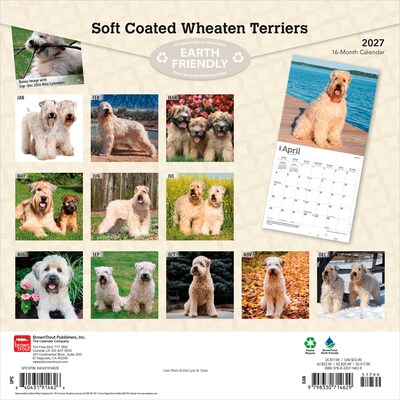 2027 BrownTrout Soft Coated Wheaten Terriers 12 x 12 Monthly Wall Calendar (9798330714629)