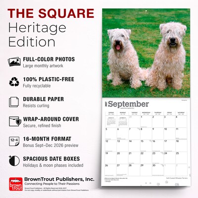 2027 BrownTrout Soft Coated Wheaten Terriers 12" x 12" Monthly Wall Calendar (9798330714629)
