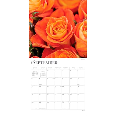 2027 BrownTrout Roses 12" x 12" Monthly Wall Calendar (9798330711345)