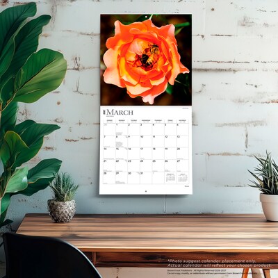 2027 BrownTrout Roses 12" x 12" Monthly Wall Calendar (9798330711345)