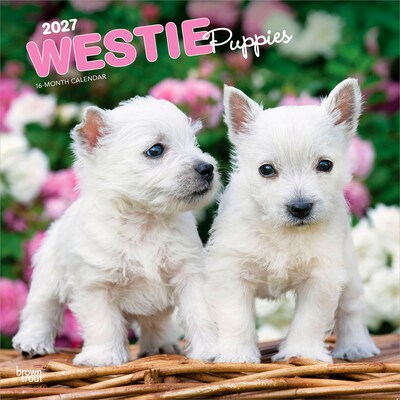 2027 BrownTrout West Highland White Terrier Puppies 12 x 12 Monthly Wall Calendar (9798330710119)
