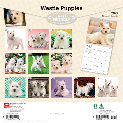 2027 BrownTrout West Highland White Terrier Puppies 12 x 12 Monthly Wall Calendar (9798330710119)