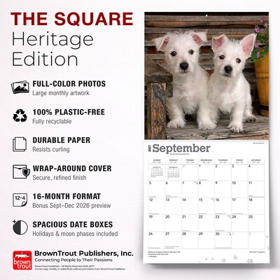 2027 BrownTrout West Highland White Terrier Puppies 12" x 12" Monthly Wall Calendar (9798330710119)