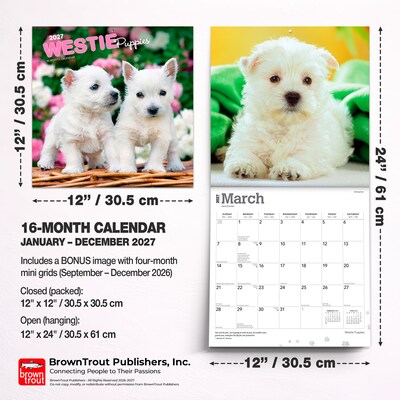 2027 BrownTrout West Highland White Terrier Puppies 12" x 12" Monthly Wall Calendar (9798330710119)
