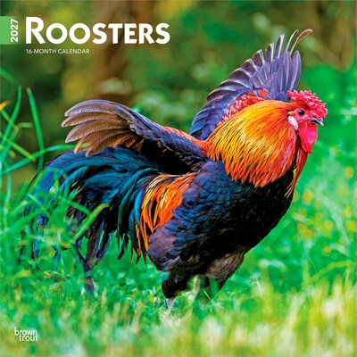 2027 BrownTrout Roosters 12 x 12 Monthly Wall Calendar (9798330711956)