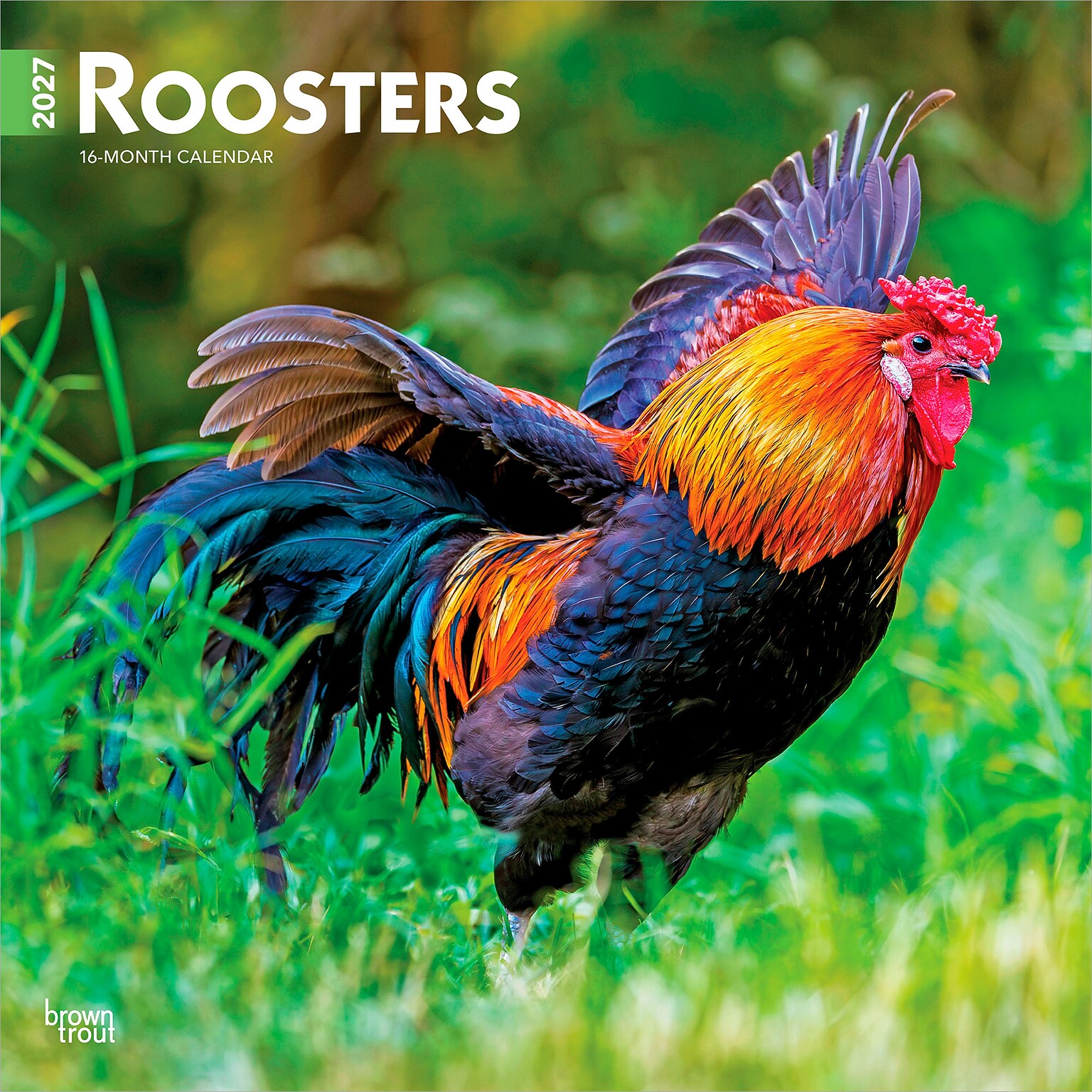 2027 BrownTrout Roosters 12 x 12 Monthly Wall Calendar (9798330711956)