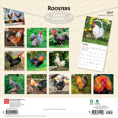 2027 BrownTrout Roosters 12 x 12 Monthly Wall Calendar (9798330711956)