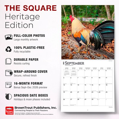 2027 BrownTrout Roosters 12" x 12" Monthly Wall Calendar (9798330711956)