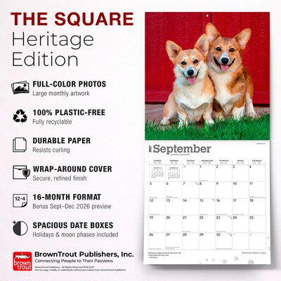 2027 BrownTrout Pembroke Welsh Corgis 12" x 12" Monthly Wall Calendar (9798330712717)