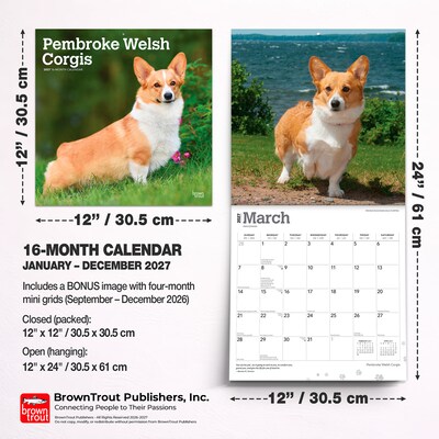 2027 BrownTrout Pembroke Welsh Corgis 12" x 12" Monthly Wall Calendar (9798330712717)