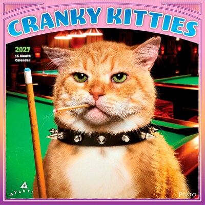 2027 BrownTrout Avanti Cranky Kitties 12 x 12 Monthly Wall Calendar (9798330712946)