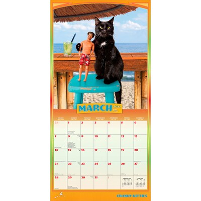 2027 BrownTrout Avanti Cranky Kitties 12" x 12" Monthly Wall Calendar (9798330712946)