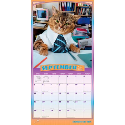 2027 BrownTrout Avanti Cranky Kitties 12" x 12" Monthly Wall Calendar (9798330712946)
