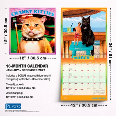 2027 BrownTrout Avanti Cranky Kitties 12" x 12" Monthly Wall Calendar (9798330712946)