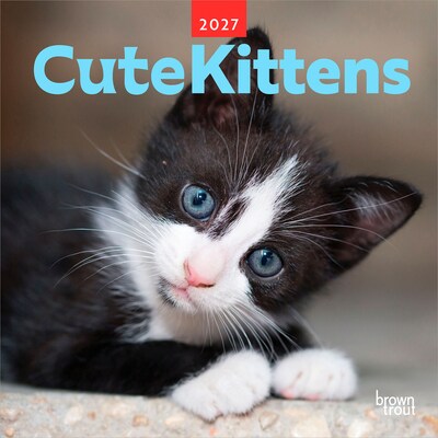 2027 BrownTrout Cute Kittens 12 x 12 Monthly Wall Calendar (9347301107214)