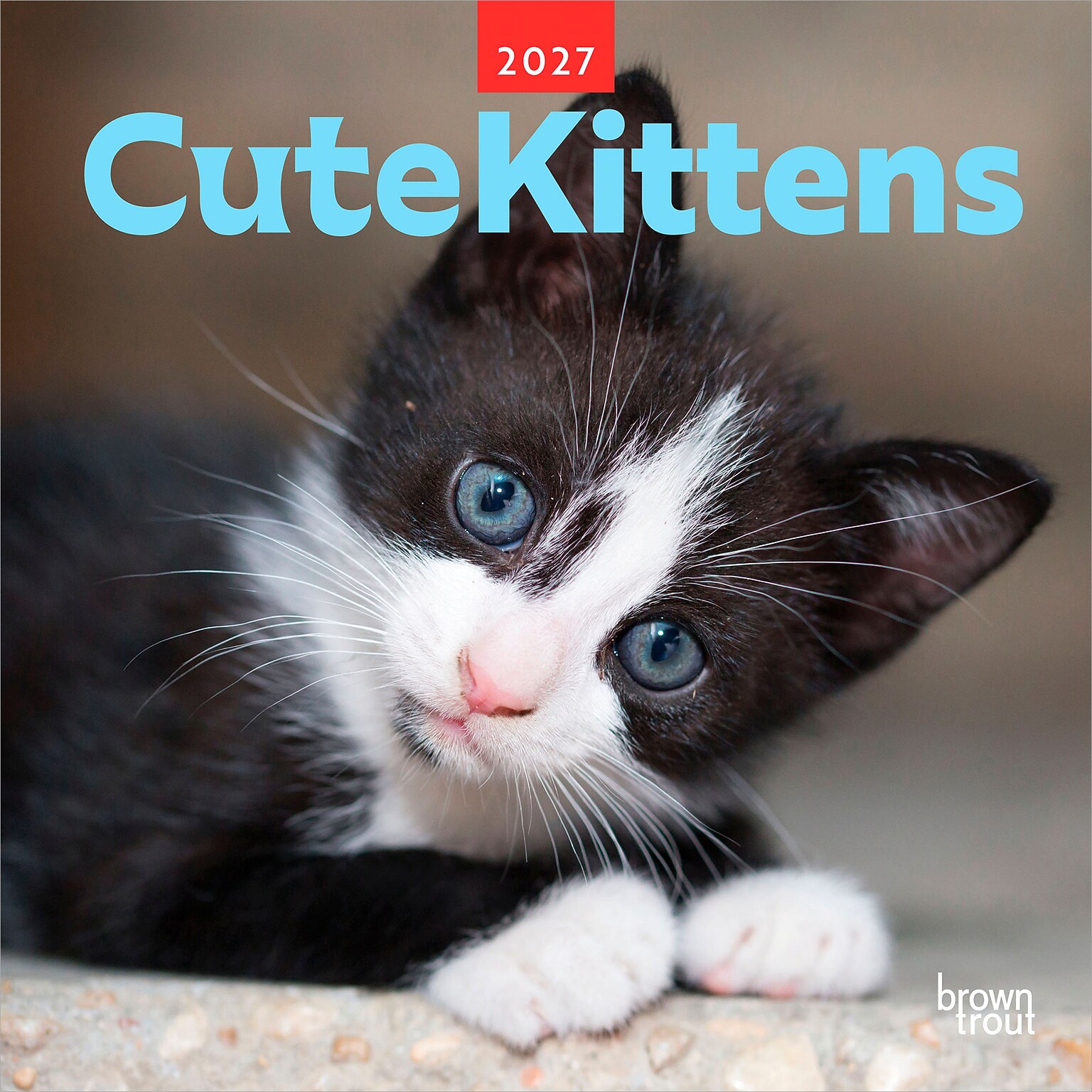2027 BrownTrout Cute Kittens 12 x 12 Monthly Wall Calendar (9347301107214)