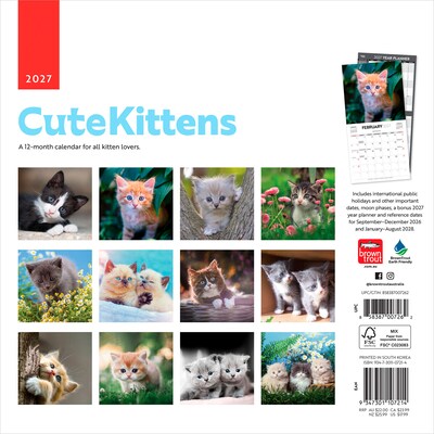 2027 BrownTrout Cute Kittens 12 x 12 Monthly Wall Calendar (9347301107214)