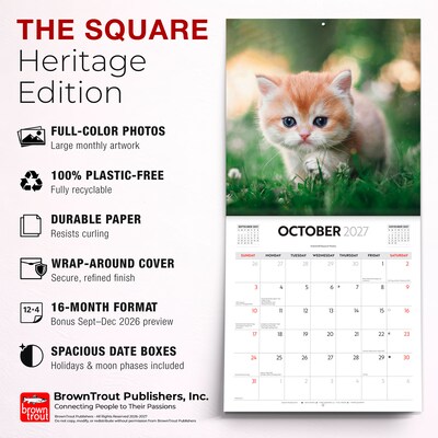 2027 BrownTrout Cute Kittens 12" x 12" Monthly Wall Calendar (9347301107214)